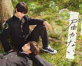 肉动画片海报剧照