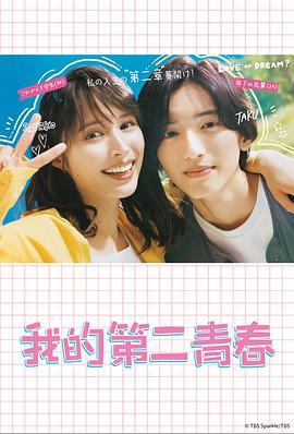 国产电影完整版高清在线播放海报剧照